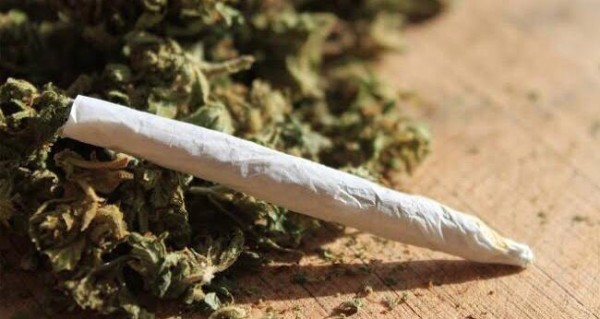 STF decide que porte de maconha para consumo pessoal não é crime