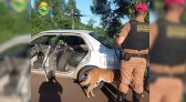 Operação da Polícia Rodoviária apreende 124 pneus sem documentação fiscal em Santa Tereza Do Oeste