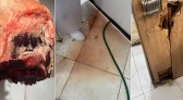 Vigilância Sanitária intensifica fiscalização e já soma 63 processos