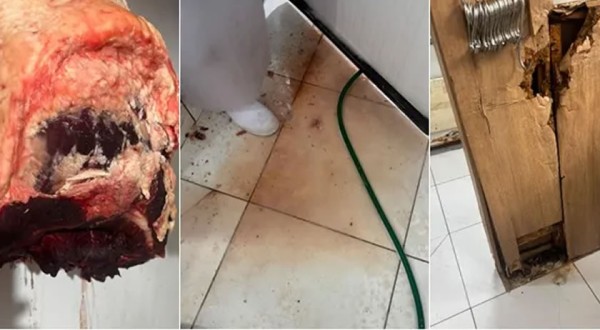 Vigilância Sanitária intensifica fiscalização e já soma 63 processos