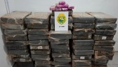 PM apreende mais de 750 quilos de maconha após perseguição na BR-163
