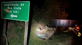 Colisão na BR-373 resulta em morte de condutora