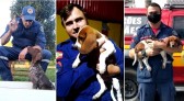 Corpo de Bombeiros Militar de SC tem duas novas raças de cães em treinamento e mais um filhote de labrador
