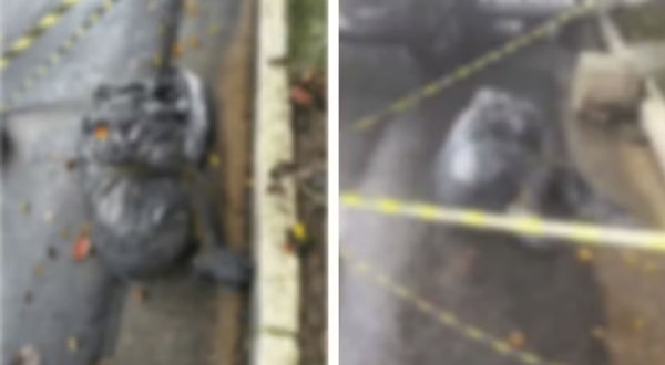 Polícia apura série de mortes suspeitas de execução em SP; corpos foram ensacados, decapitados ou queimados