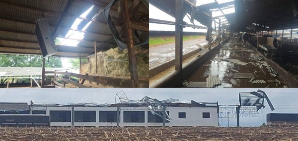 Temporal causa danos em Realeza e alerta para mais chuvas em todo o Paraná