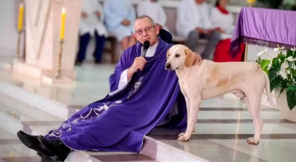 “Cãoroinha?”: cachorro vira presença nas missas e encanta fiéis no Paraná