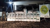 Agrotóxicos contrabandeados da Argentina são apreendidos pela PM