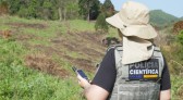 Polícia Científica já concluiu mais de mil requisições de perícia para crimes ambientais