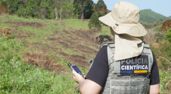 Polícia Científica já concluiu mais de mil requisições de perícia para crimes ambientais
