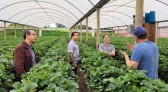 Projeto de pesquisa vai testar tecnologia para reduzir perda de água na irrigação