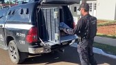 'Grupo de extermínio' suspeito de executar mais de 20 pessoas e gravar mortes no Paraná é alvo de operação policial em 17 cidades de 5 estados