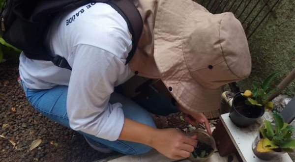 Índice de infestação do Aedes Aegypti tem redução em Beltrão