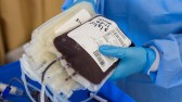 Estoque de sangue no Hemonúcleo de Francisco Beltrão é considerado estável