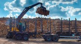 Com alta de 20,7%, Estado consolida vice-liderança no valor da produção florestal