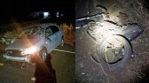 Mulher morre e duas pessoas ficam feridas em acidente na PR-880
