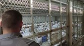 Rafitec inicia operações com mão de obra de presos