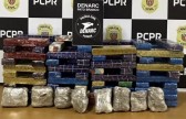 Grande quantidade de drogas é apreendida pelo DENARC