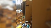 Igreja Matriz de Palmas é alvo de furto e suspeitos são detidos em operação policial