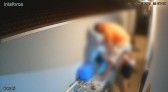Homem morre após levar tiro no rosto ao espiar por cima do muro a casa vizinho