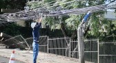 Equipes da Copel trabalham para recompor redes após temporal de domingo