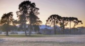 Após recorde de frio, temperatura sobe e Paraná volta a ter veranicos de inverno