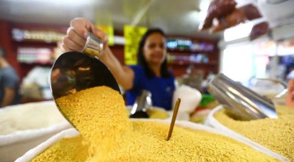 Em 2023, população brasileira ocupada passou dos 100 milhões