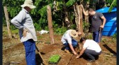 Produtores do PRODER iniciam cultivo de pepino para conserva