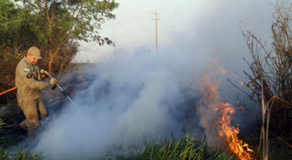 Estado lança nesta semana campanha de prevenção e combate a incêndios florestais