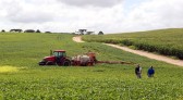Adapar orienta produtores sobre ampliação no calendário de plantio da soja