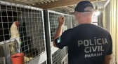 PCPR apreende 390 animais em megaoperação contra rede de tráfico internacional