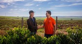 Cresol antecipa recursos do Plano Safra para produtor se planejar no campo