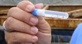 Mutirão contra a Dengue acontece no sábado (02)
