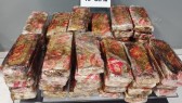 ROTAM apreende mais de 41 quilos de maconha em ônibus na rodoviária