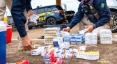 PRF apreende cerca de 9,6 mil frascos de produto apresentado como tirzepatida