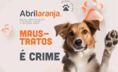 Ações de conscientização contra maus-tratos a animais são realizadas