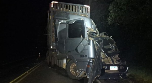Caminhão de Francisco Beltrão se envolve em acidente na PRC-466