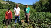 Agricultores do Proder preparam a colheita de batata-doce