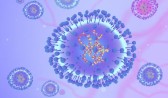 LACEM confirma morte de bebê por conta de Metapneumovirus Humano