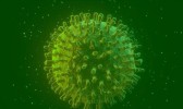 OMS decreta fim da emergência de saúde da pandemia de covid-19 após três anos