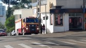 Bombeiros são acionados para salvamento de animal no centro