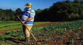 Governo investe R$ 5,94 milhões para apoiar projetos de 1.360 famílias rurais