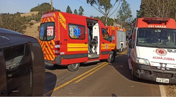 Motorista passa mal enquanto dirige e colide em árvore
