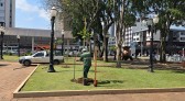 Dia da Árvore tem distribuição de mudas e ações ambientais