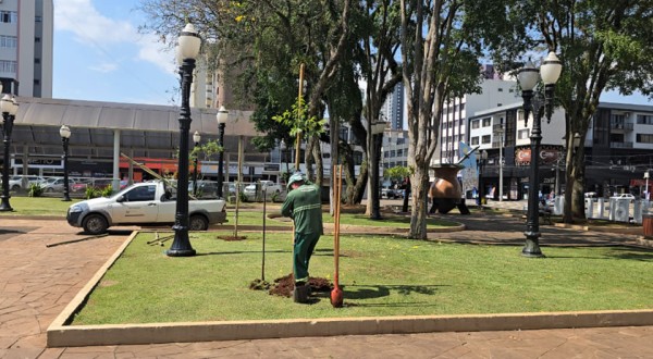 Dia da Árvore tem distribuição de mudas e ações ambientais