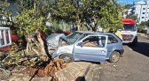 Homem fica ferido após colidir carro em árvore