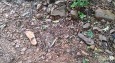 Mulher com deficiência que estava desaparecida em Capanema é encontrada morta com sinais de abuso