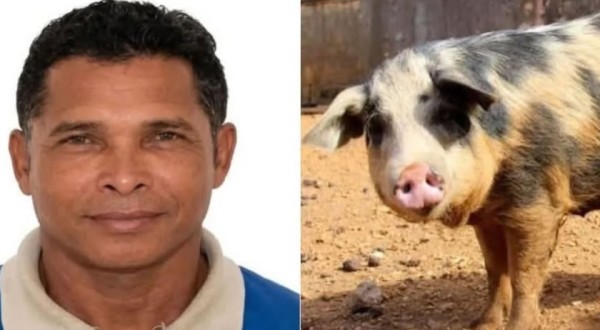 Homem morre após ser atacado por porco em área rural de Parauapebas