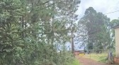 Polícia Civil identifica mãe de recém-nascido encontrado morto em Clevelândia
