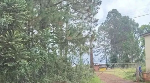 Polícia Civil identifica mãe de recém-nascido encontrado morto em Clevelândia