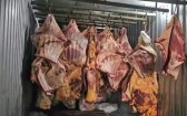 Empresa é acusada de revender 800 toneladas de carne que ficou submersa na enchente do RS